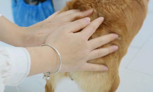 专门摸屁股的店，任摸