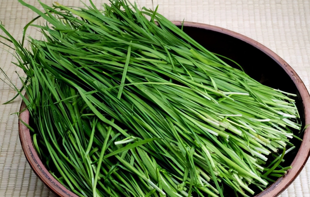 终于知道买的韭菜为啥那么干净,粗韭菜和细韭菜有什么区别哪个好