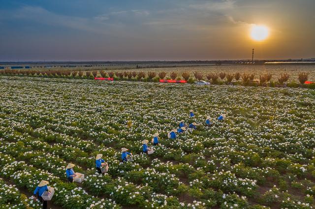 丰收中国万里行围场,丰收中国万里行视频