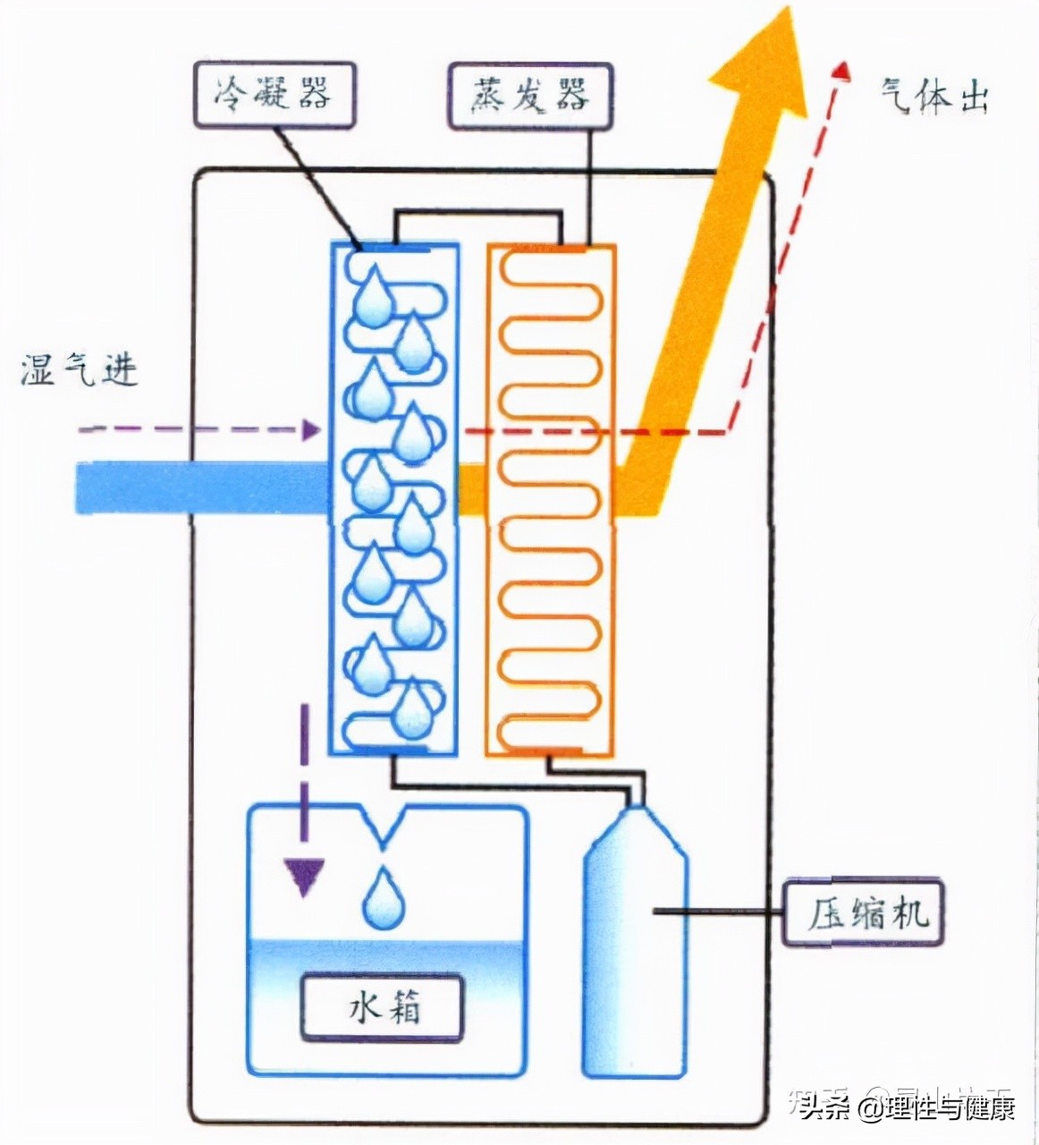 蒸汽压缩机的工作原理示意图,罗茨蒸汽压缩机工作原理视频