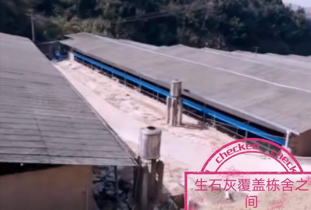 如何提高保育仔猪成活率,仔猪第二次分栏日龄