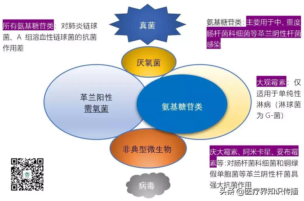 抗菌药谱大全及图片,抗菌谱图解大全