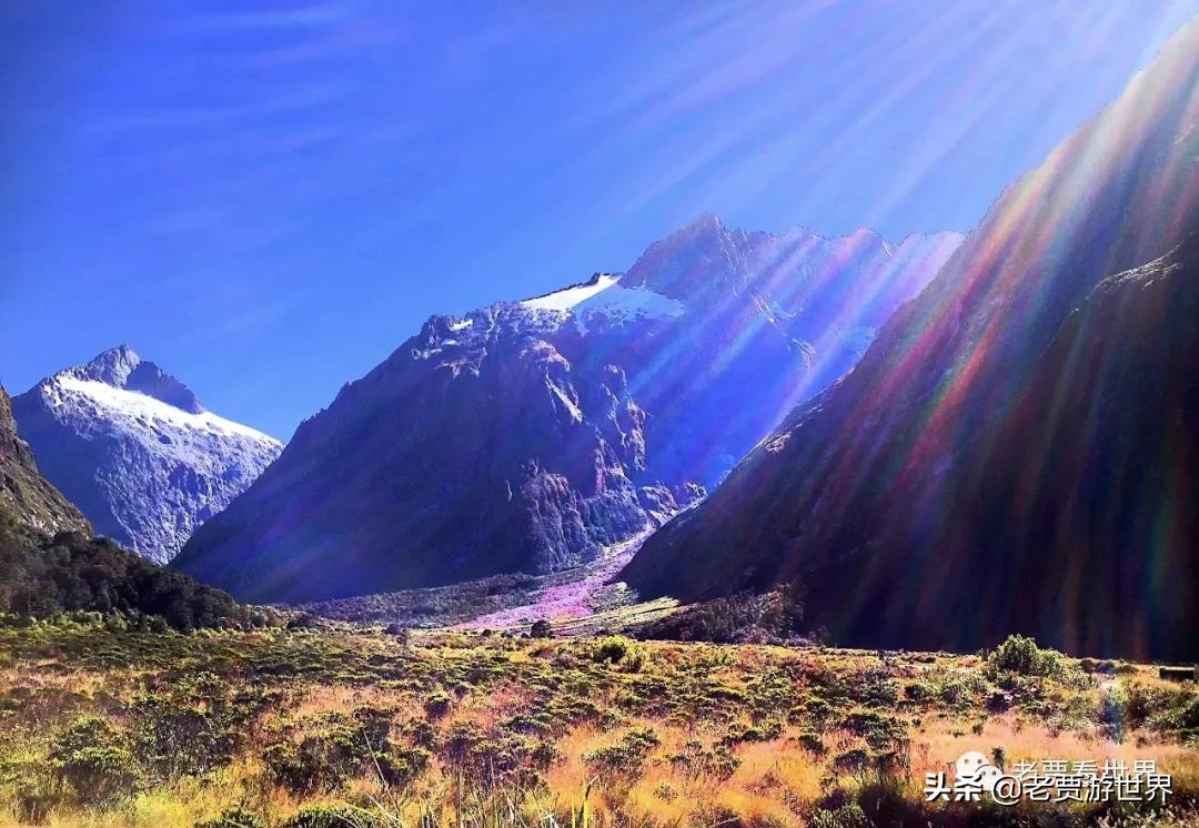 新西兰的五个漂亮的地方,新西兰最好的五大城市