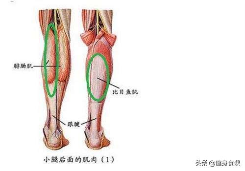 为什么小腿越练越粗,小腿粗大腿瘦应该怎么瘦腿