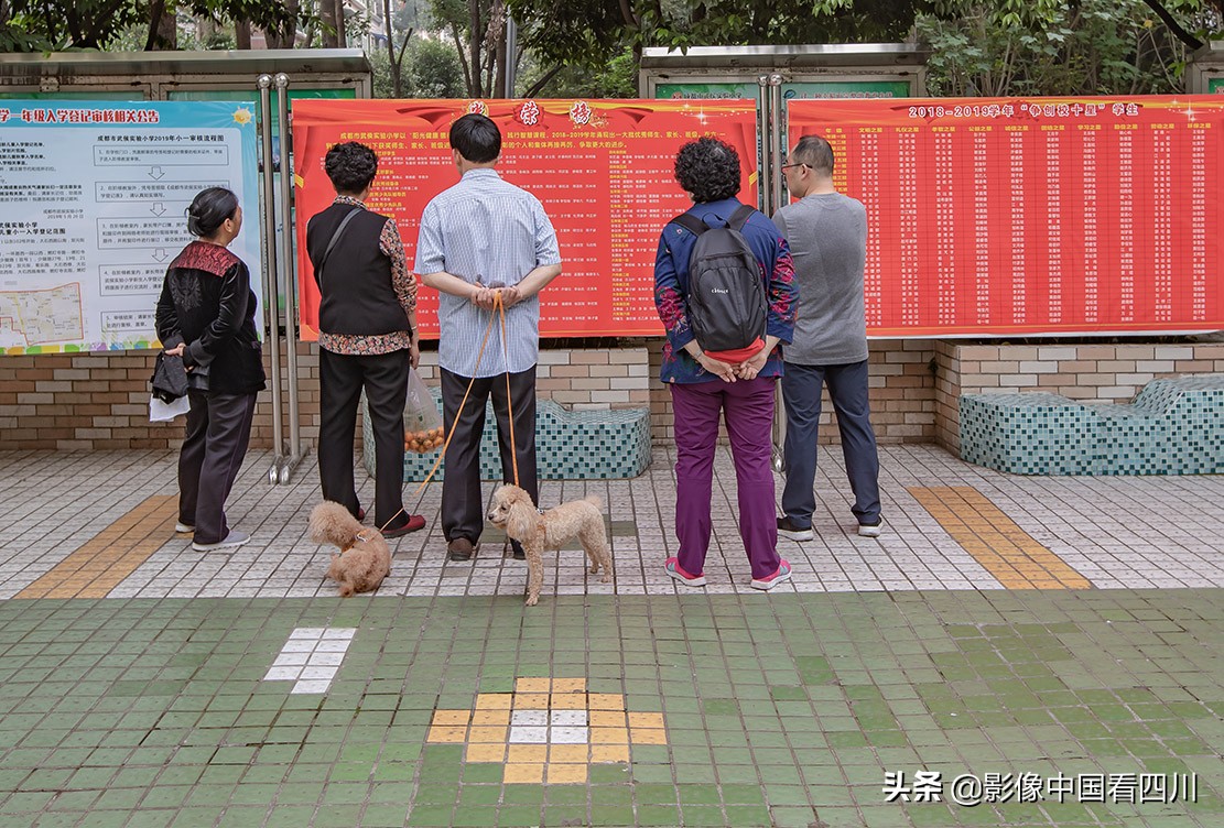 成都市西一路小学庆祝六一,彭山区实验小学六一庆典活动
