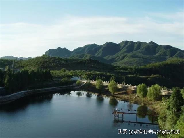 梨木台景林农家院,梨木台景林农家院直播