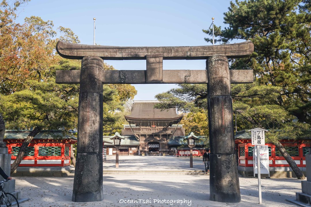 日本游轮游避坑,日本邮轮八天七夜具体行程