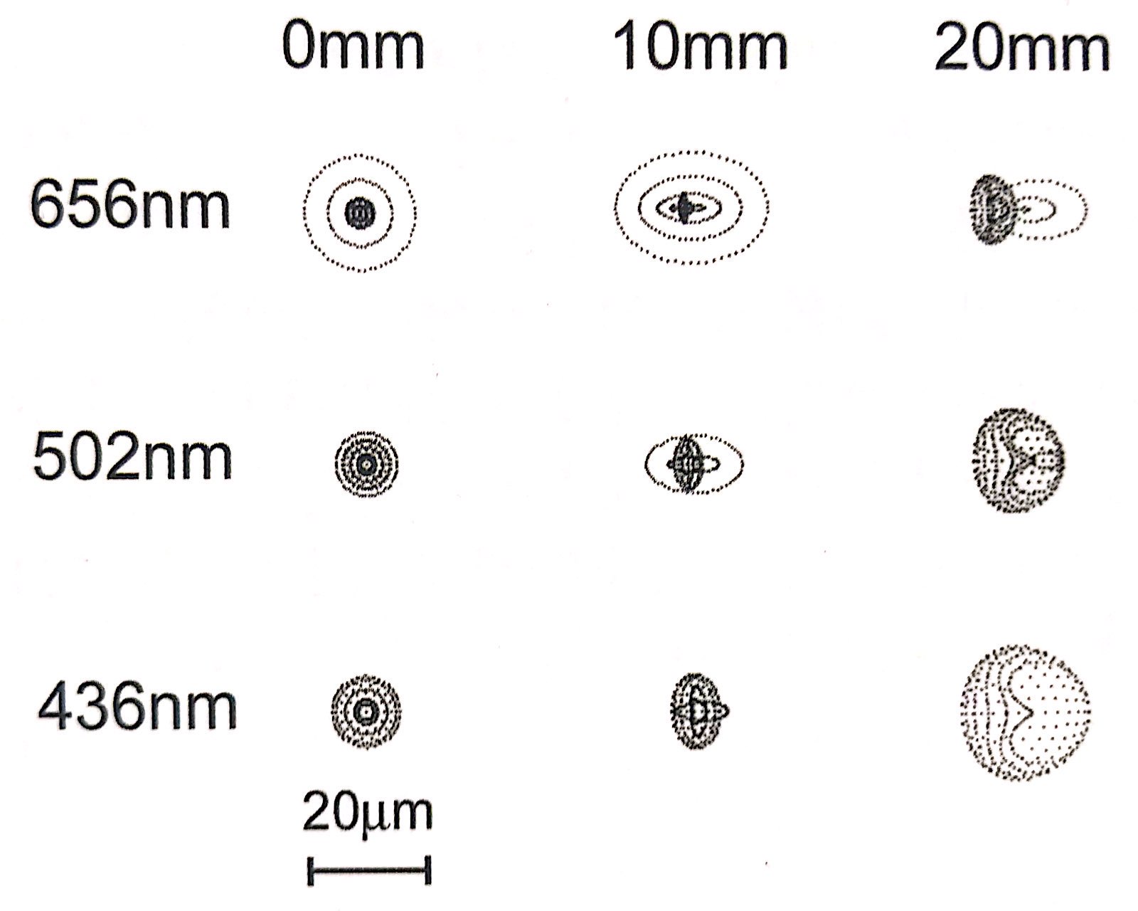 星野赤道仪可以接望远镜吗,初入门天文望远镜教程
