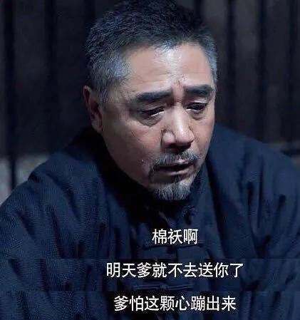 潘粤明和赵薇京华烟云,京华烟云赵薇潘粤明金屋藏娇