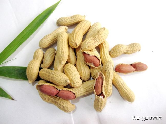 绍兴市新昌县十大旅游景点有哪些,新昌旅游攻略有哪些