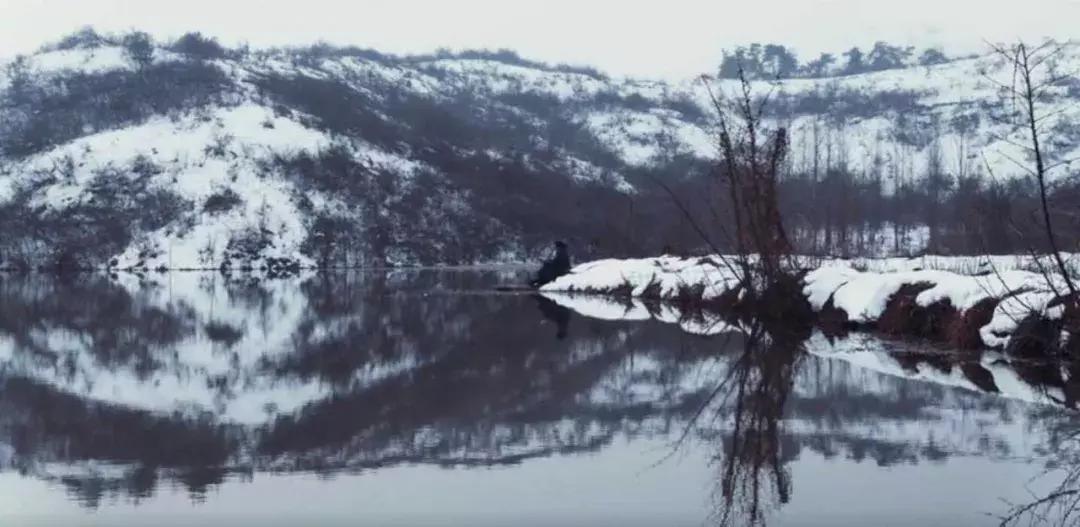 这实在令人惊奇:《将夜》竟也能穿越皮相“永夜月出”终极三问