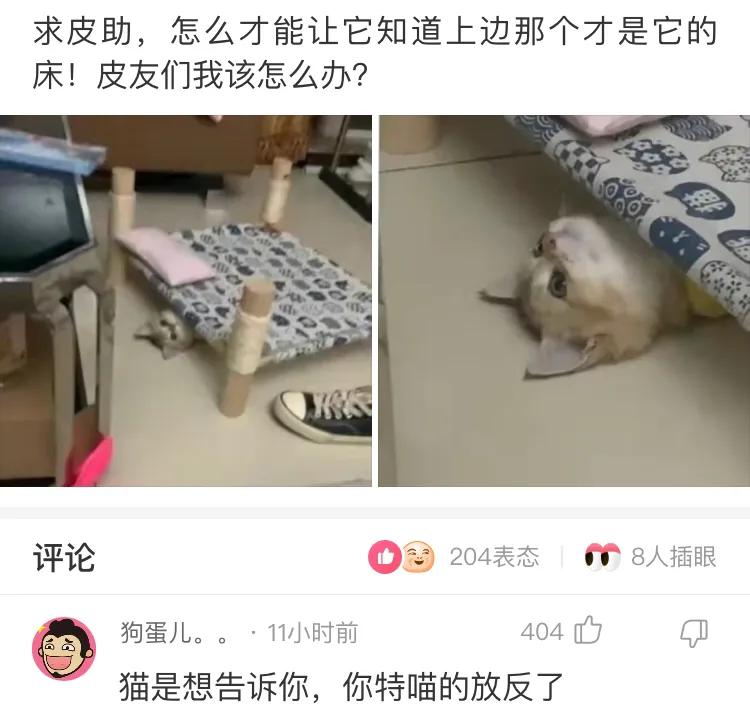 那些网友的神回复,那些网友们的神回复