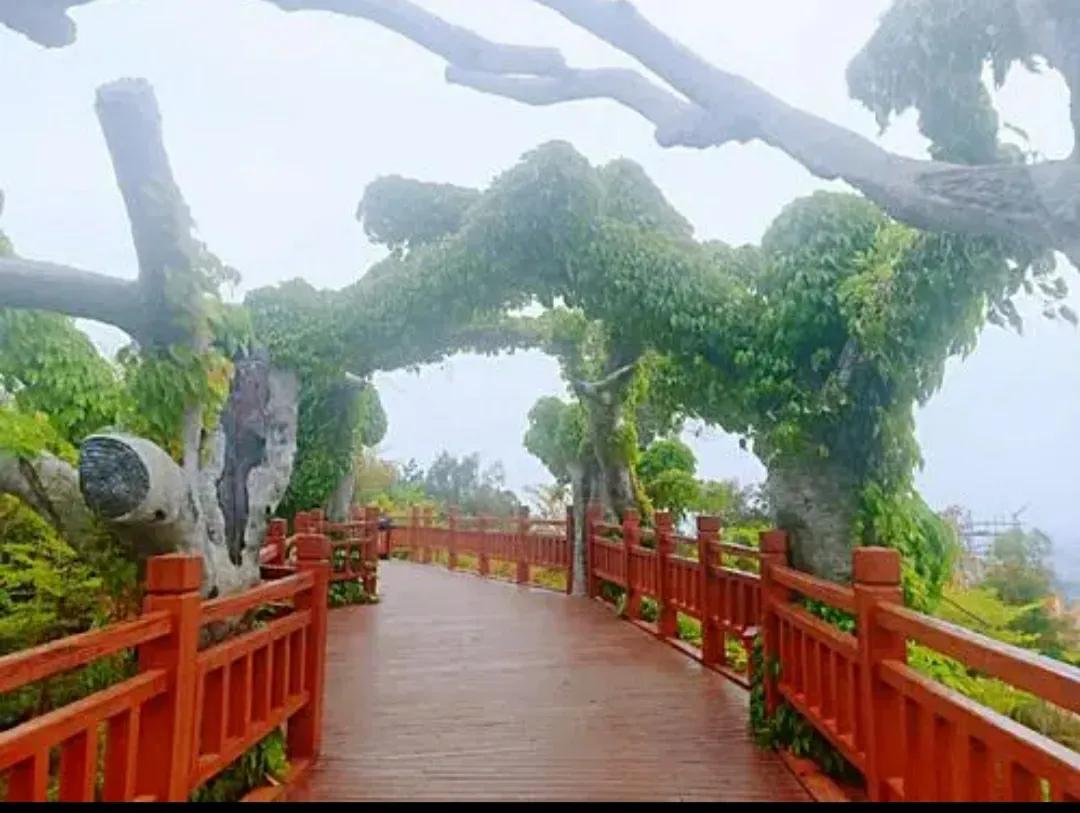 厦门香山有什么风景,厦门翔安必去8个景点香山