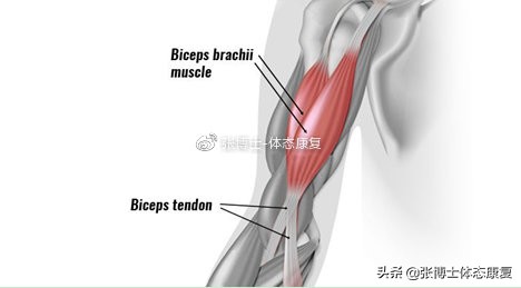 运动肘关节常见创伤及治疗方法,怎么预防肘关节康复二次损伤