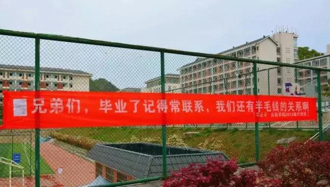 高校走心毕业季标语惹哭网友,毕业季校园里这些横幅看哭了