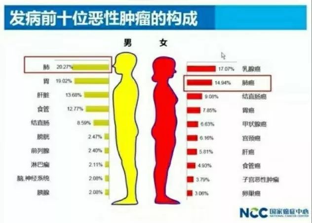 新华健康无忧20年后钱怎么处理,新华健康无忧青少年尊享版