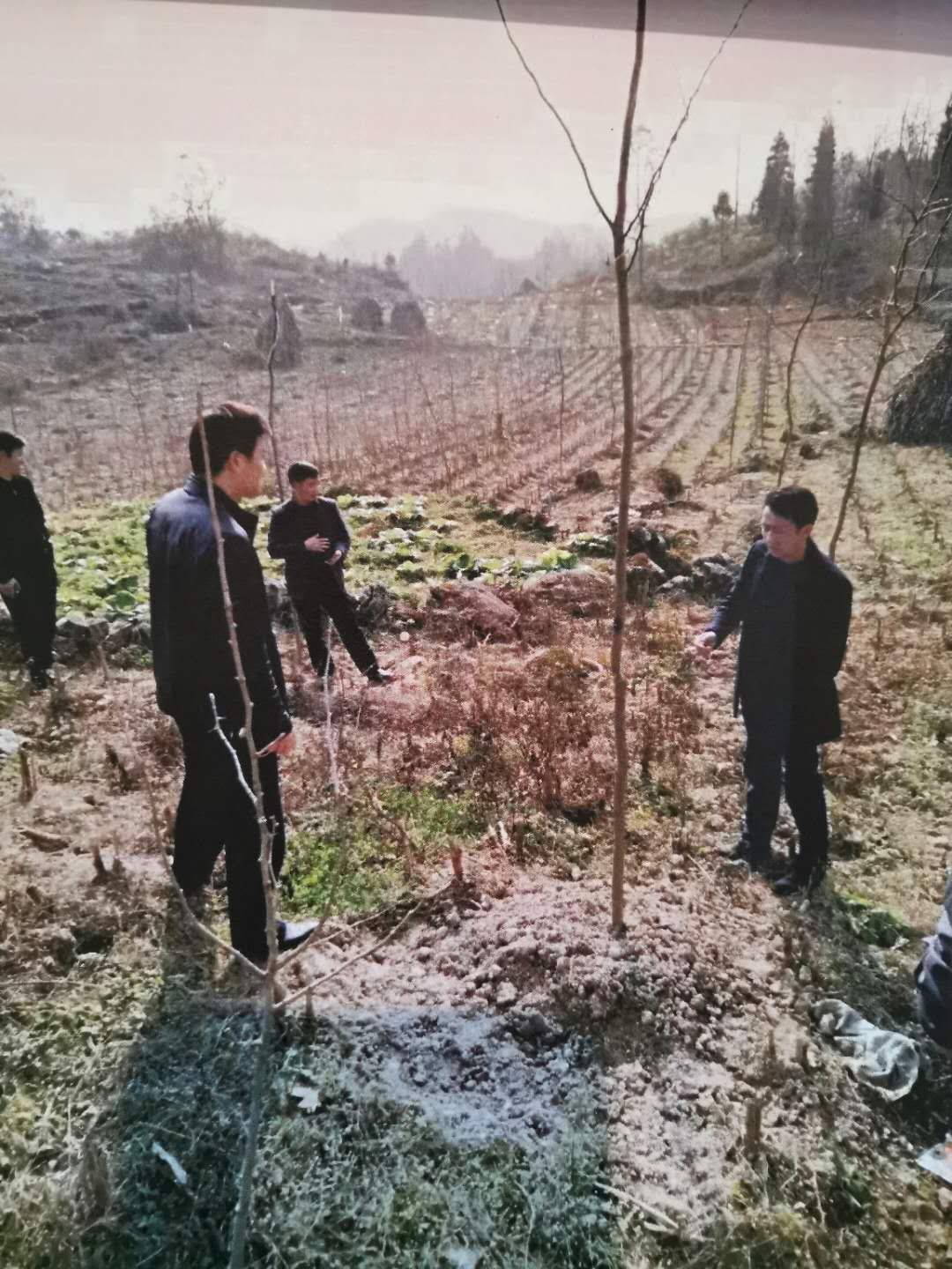 光彩事业促进会和光彩事业基金会,云南光彩事业基金会