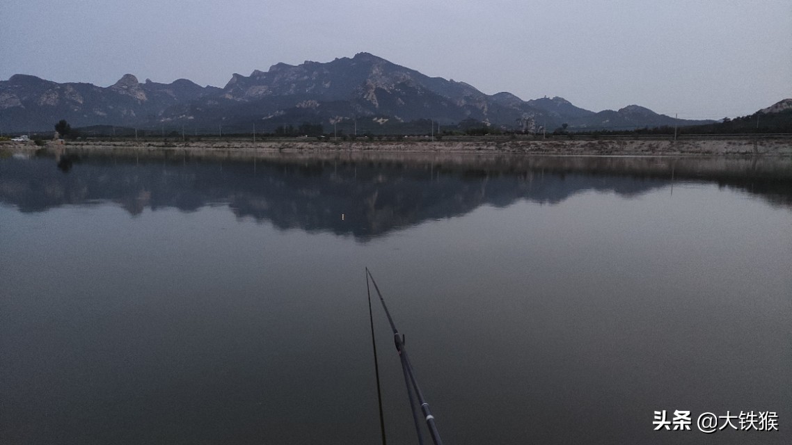 钓鲶鱼的最好方法,钓鲶鱼的方法和技巧