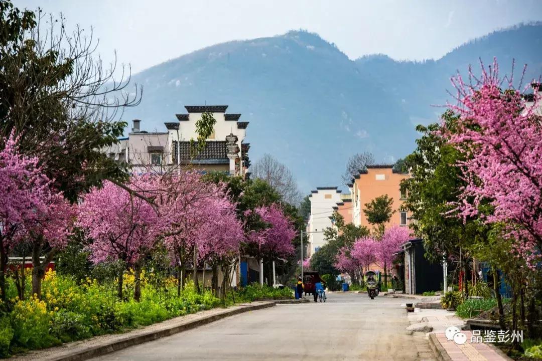 铅山县葛仙山,去葛仙山攻略