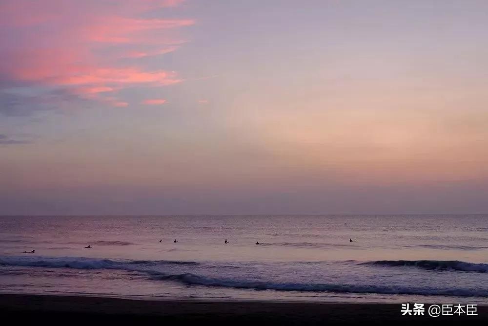 2020年东京奥运会看点大盘点,2020东京奥运会有哪些亮点