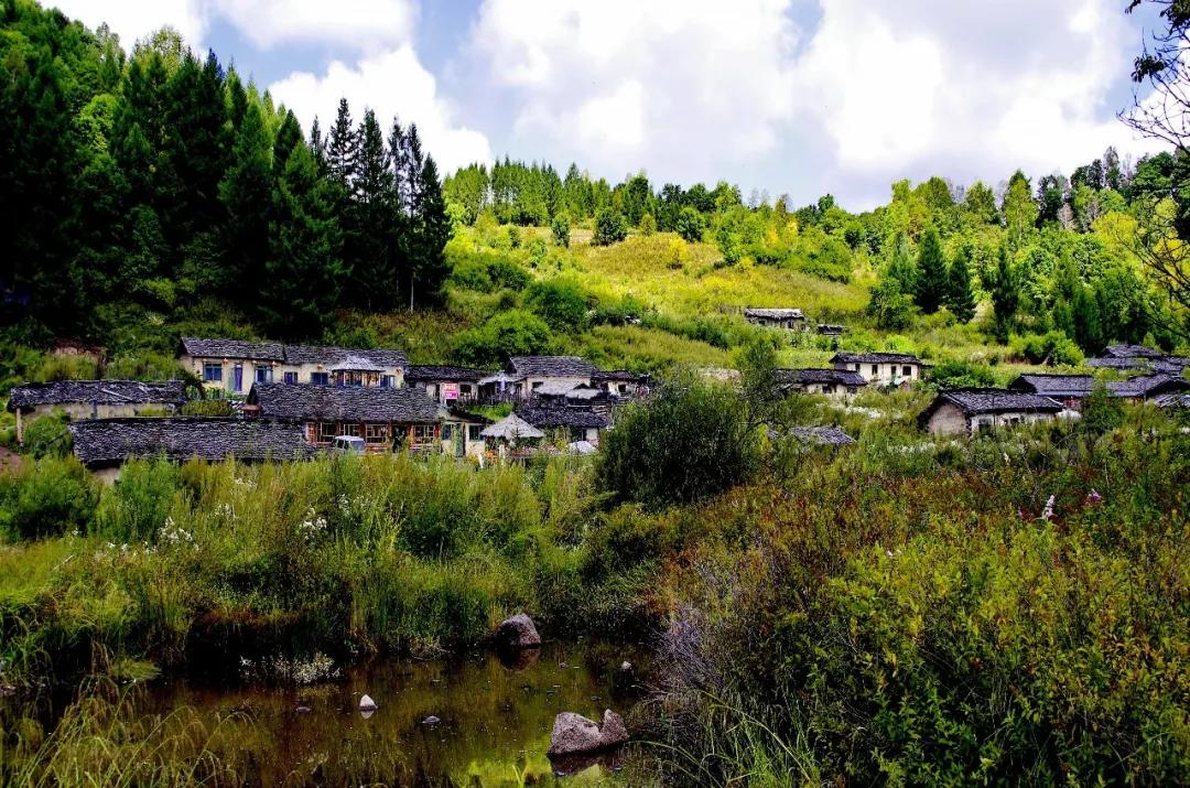 白山之夏旅游,白山4天旅游攻略