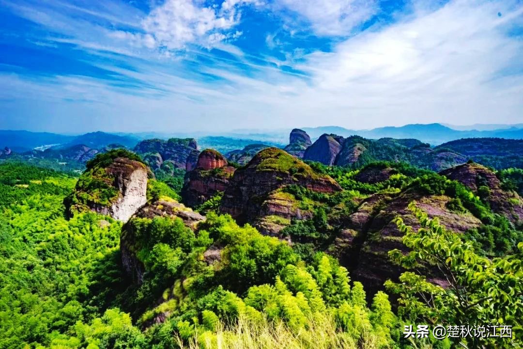 江西武陵红茶,江西最好的红茶