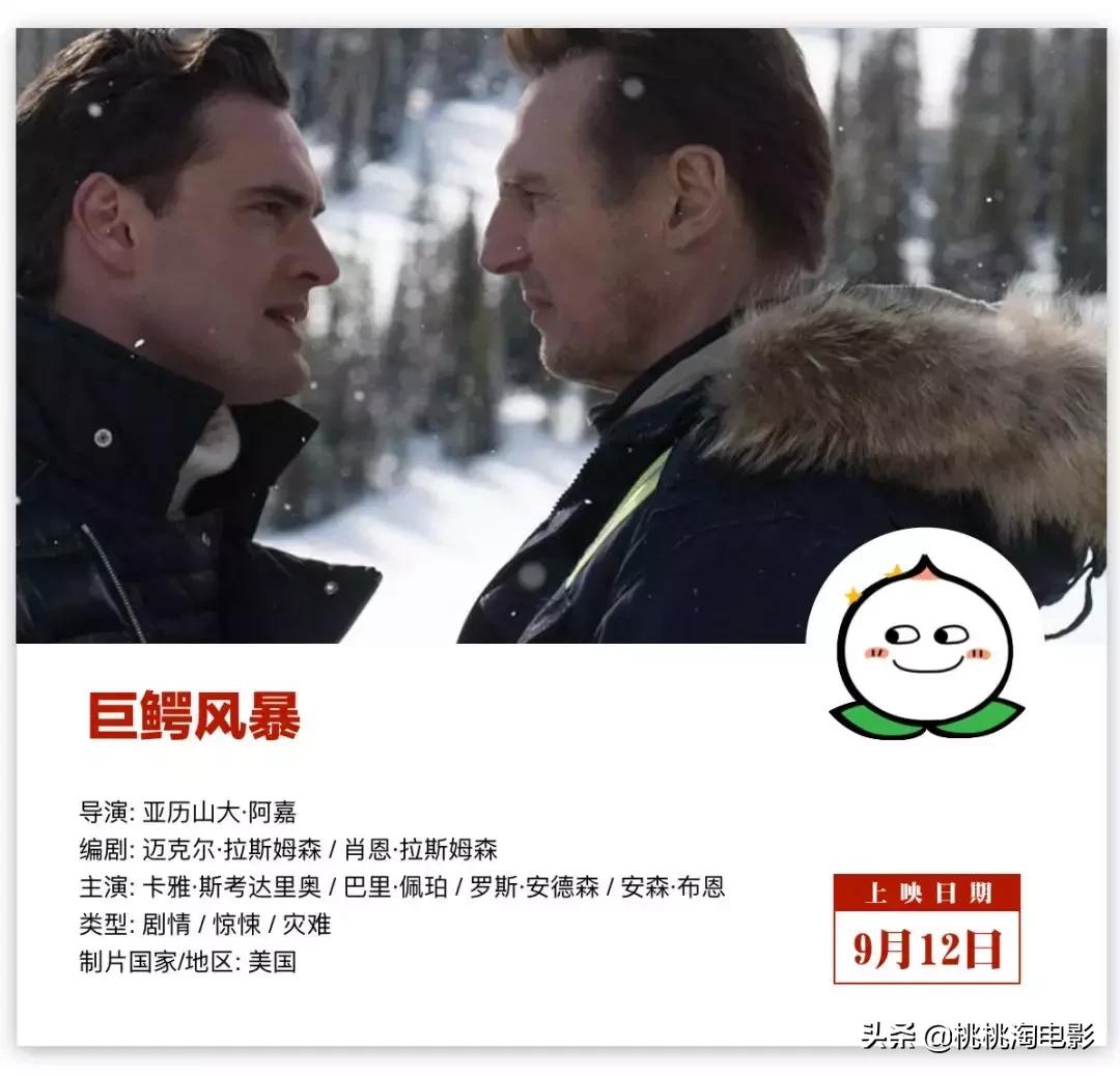 名侦探柯南开年篇合集,诛仙与小小的愿望