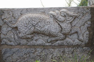 “花桥流水”东流庄难忘记忆“再回首”—来自平邑县仲里古镇东流庄村系列传奇故事之二姜晓彬甄峰/图文