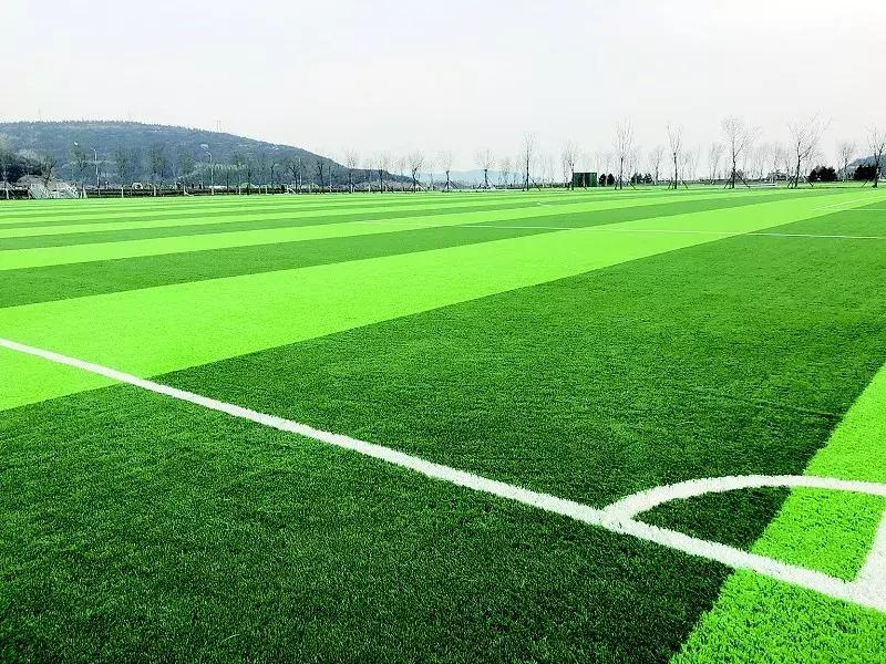 太原免费足球场,太原足球场地址