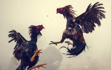 讽刺人的古诗不带脏字,骂人不带一个骂字的古诗