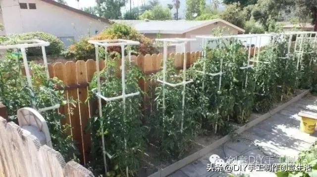 透明塑料罐有什么用,pvc管脑洞大开的创意