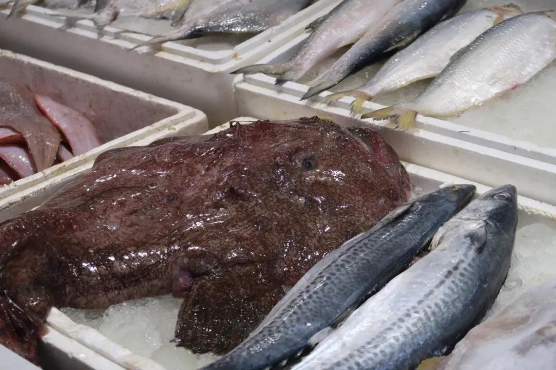 在这个足足2万平的奇妙海鲜“商场”，我找到了赚钱的动力