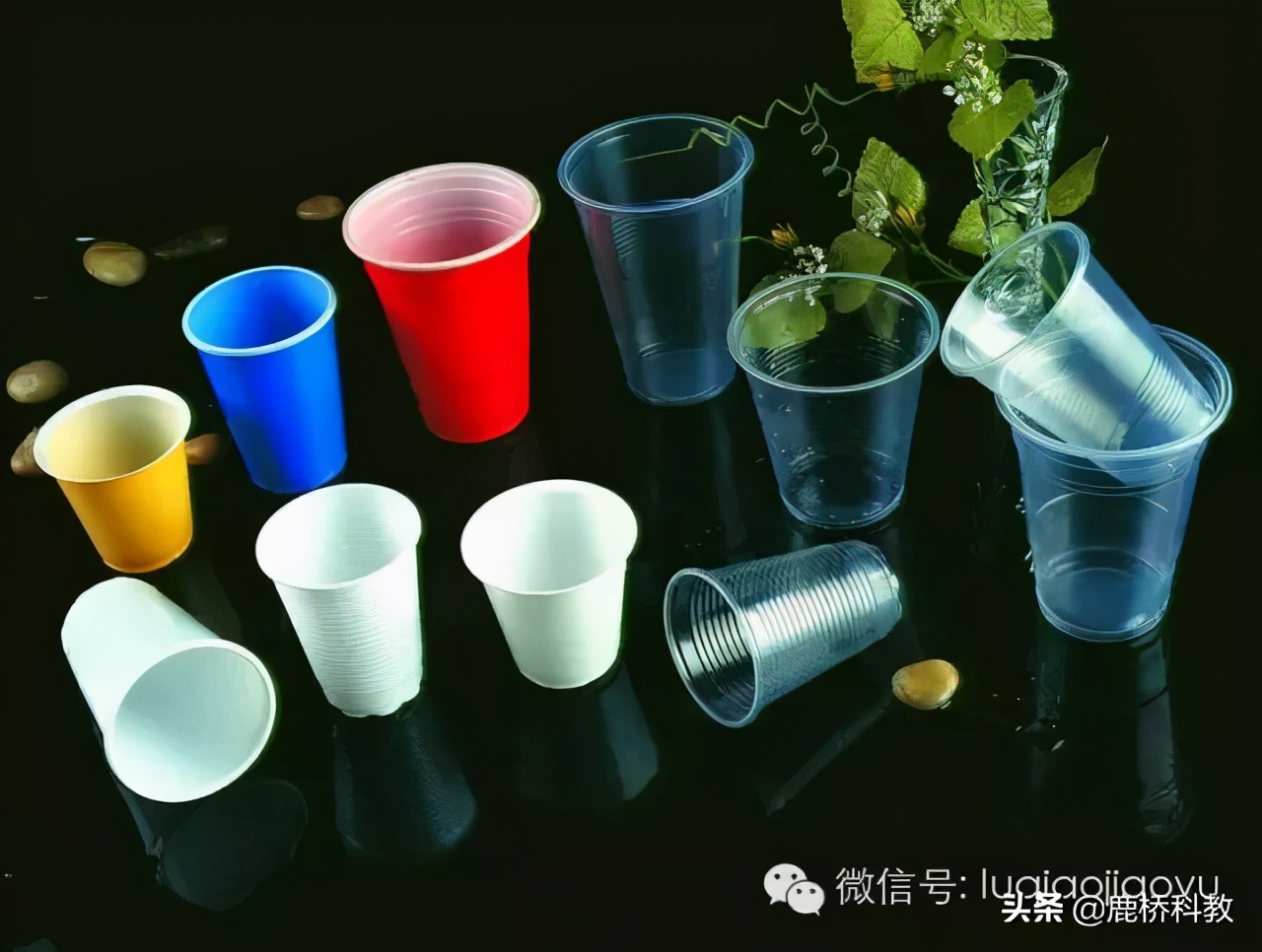 赶快收藏起来和孩子一起学习吧,塑料知识小课堂