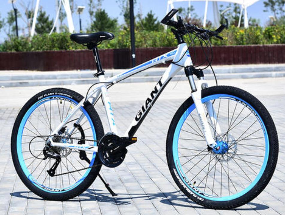 落寞的国民神器：国产自行车130年浮沉