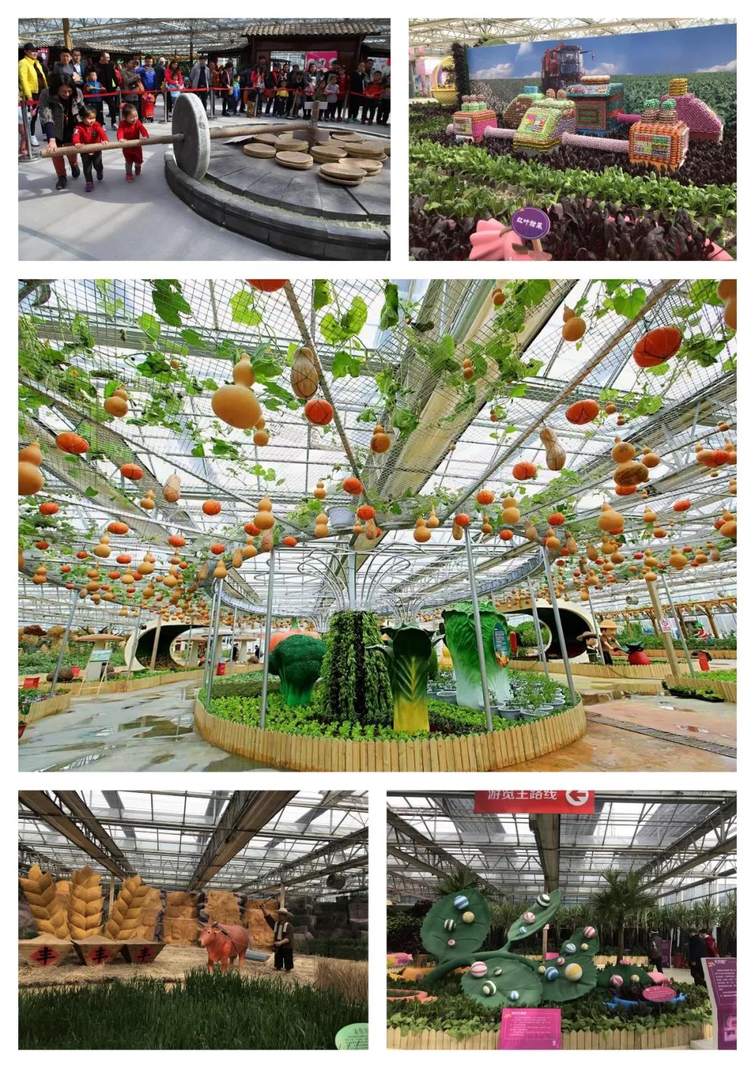 温都水城嘉年华,温都水城嘉年华乐园