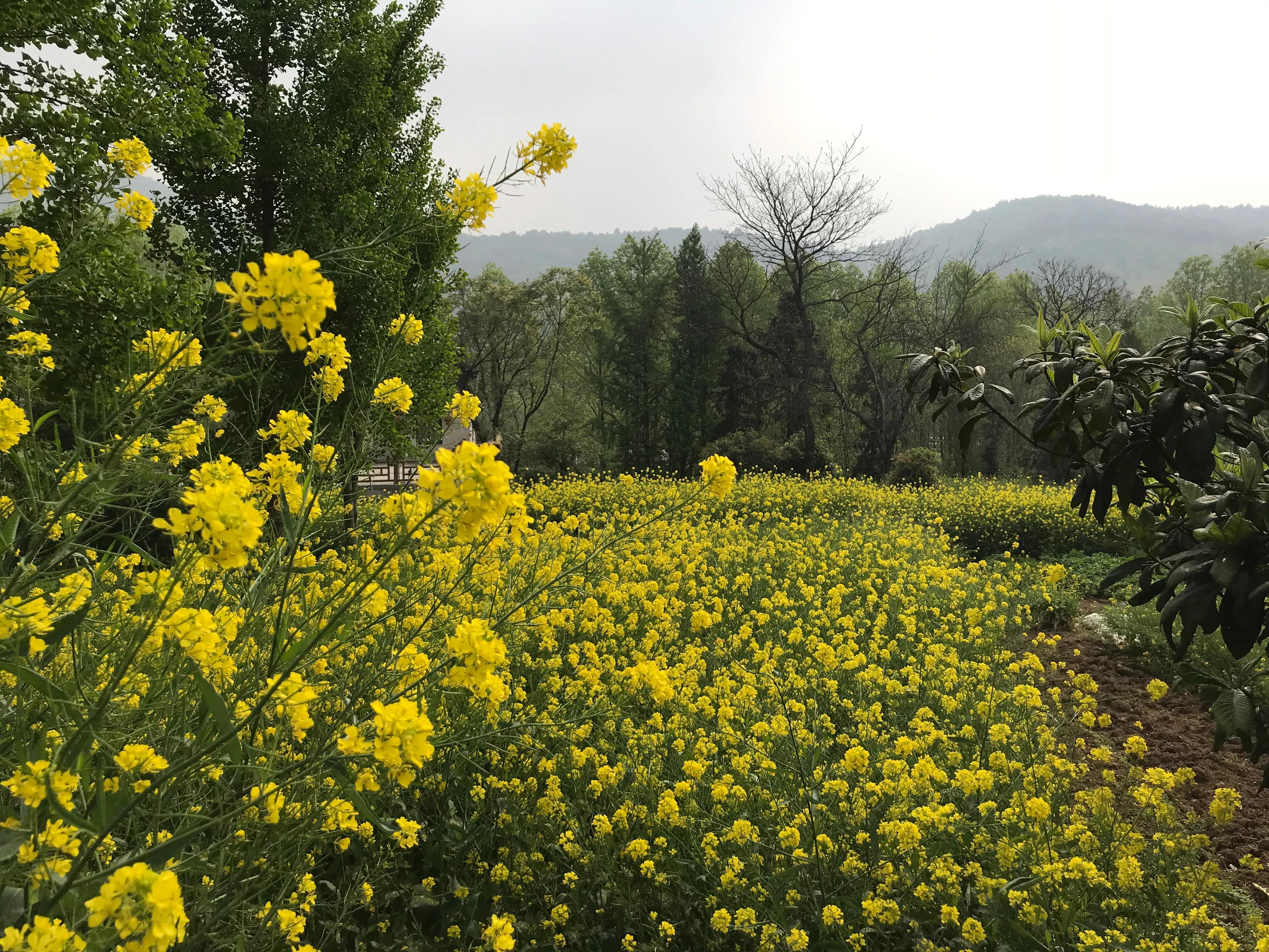 踏青山海秘境,石塘竹海游玩的最佳季节