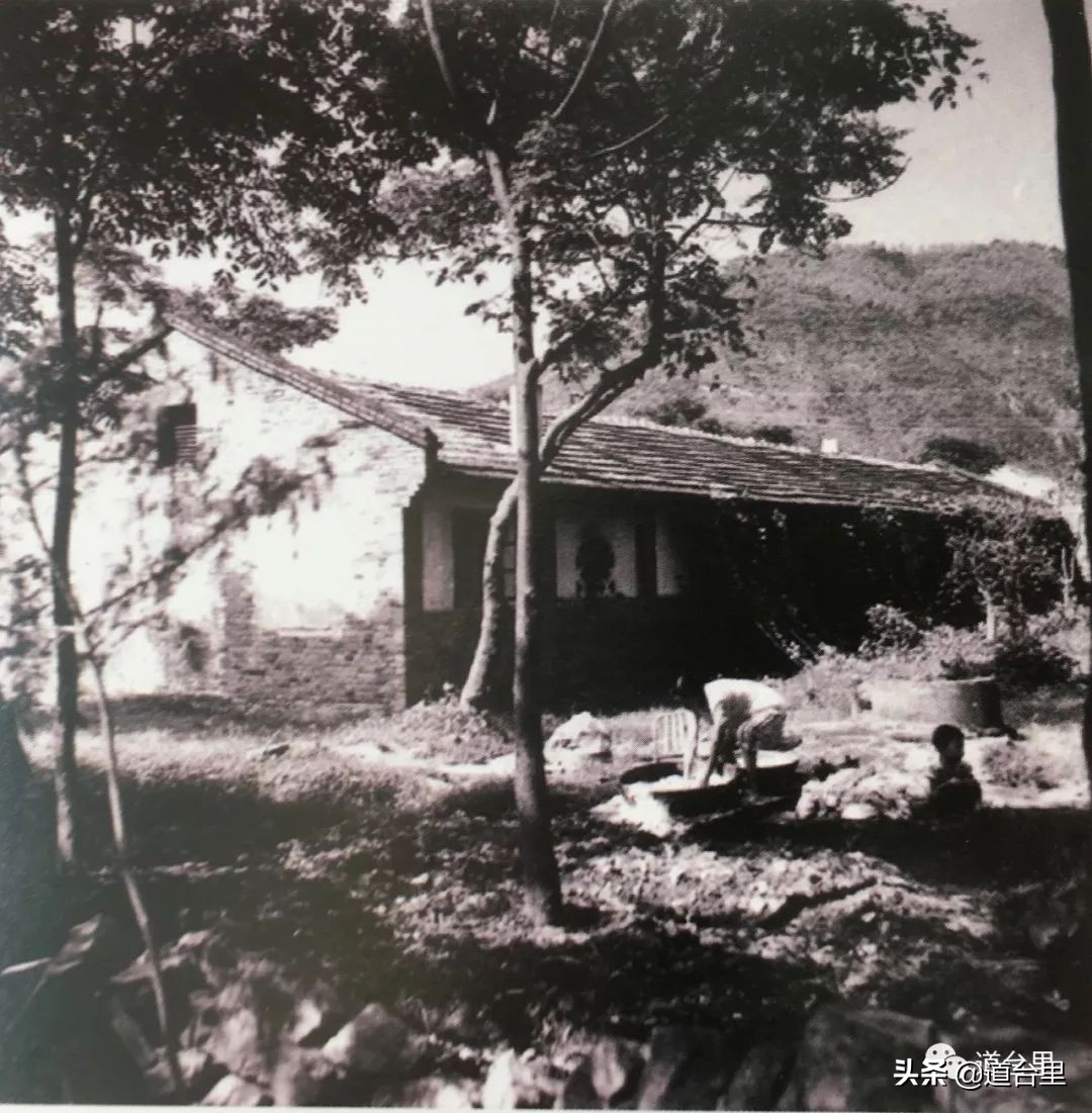 我的母校儿时记忆完整版,椒江二中历史照片