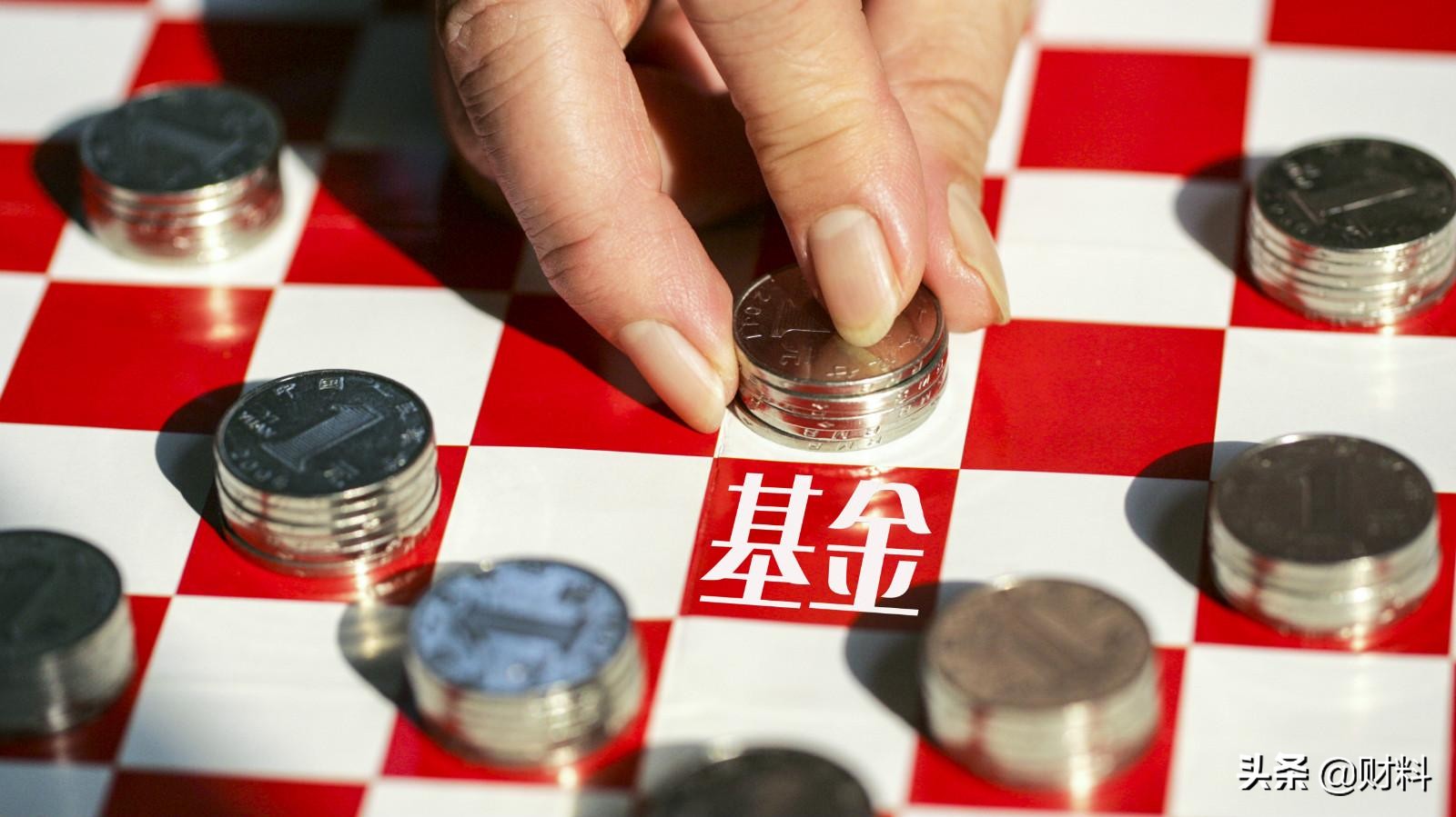 支付宝上买的基金风险大不大,支付宝买的基金现在有风险吗