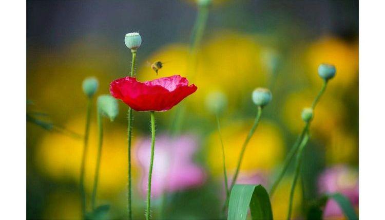 临颍：摄影家大咖走进三高，现场传授摄影秘籍