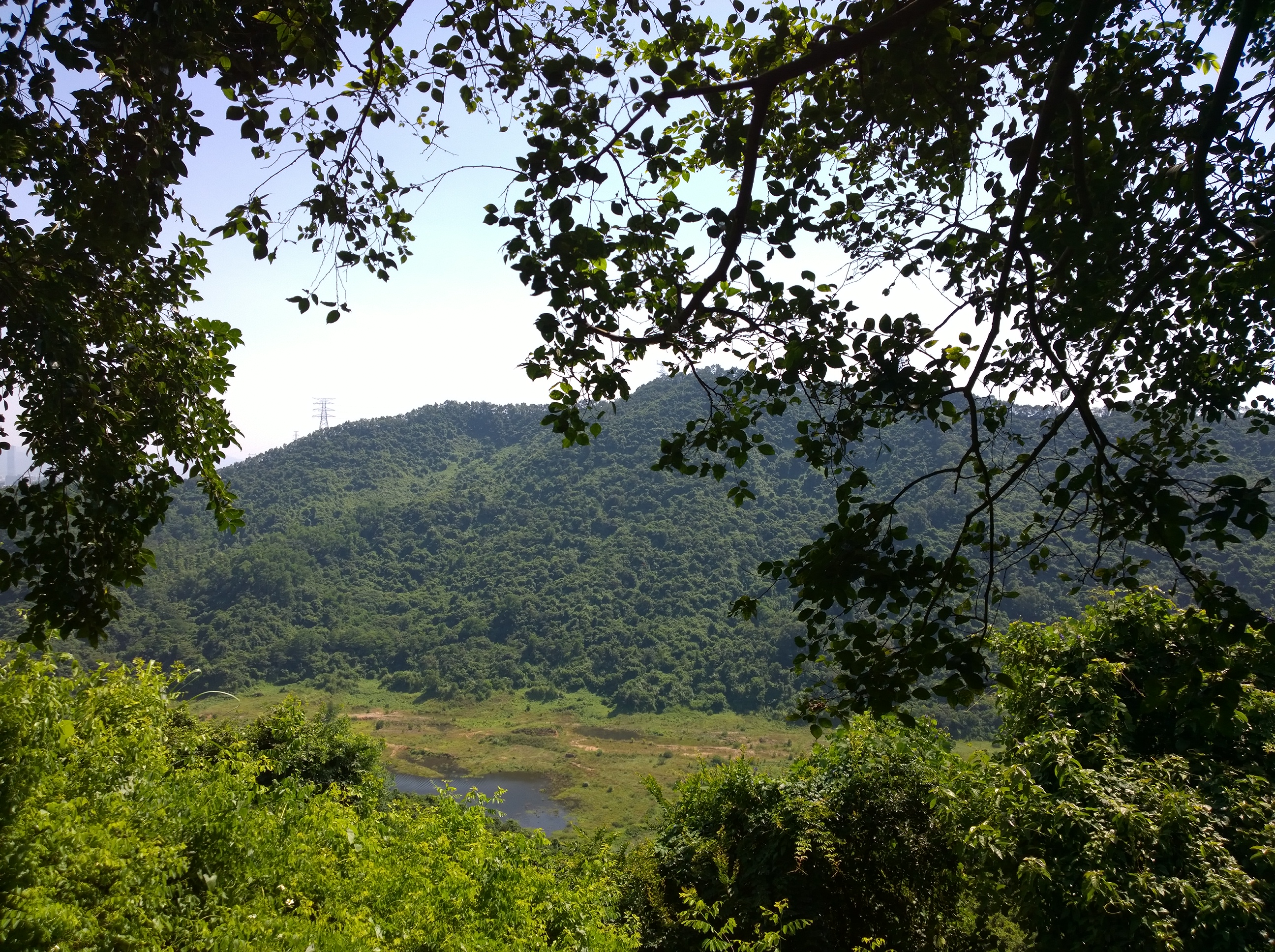 诺基亚lumia1020全套,lumia1020奥利奥