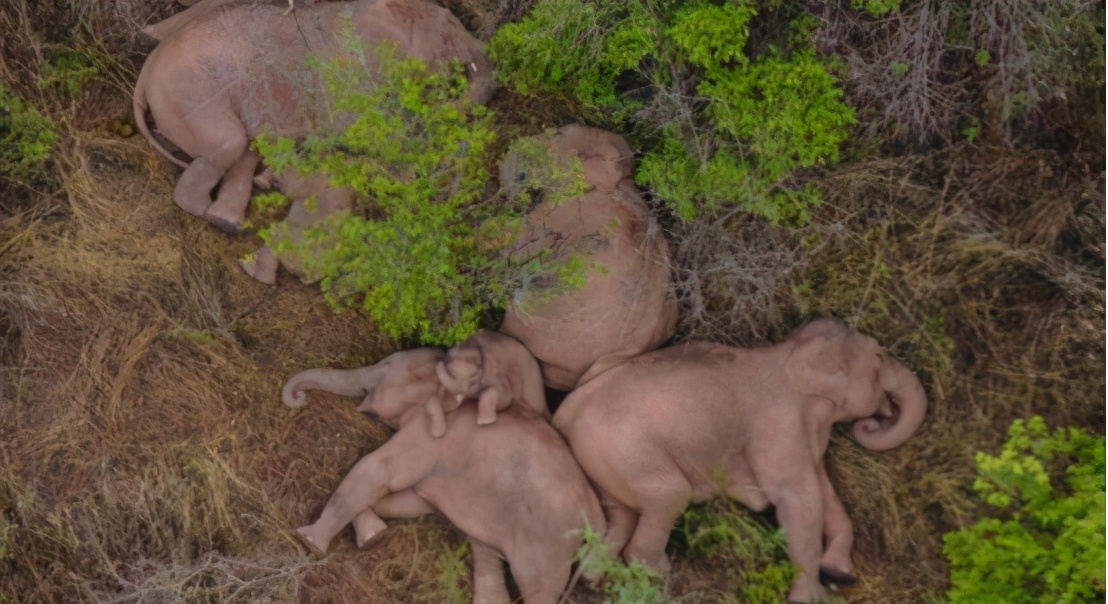 云南近年发生的较大地震,云南近十年较大地震