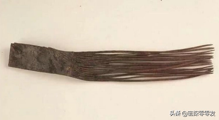 日本想要马王堆汉墓的头发 (马王堆汉墓女尸头发有什么价值)
