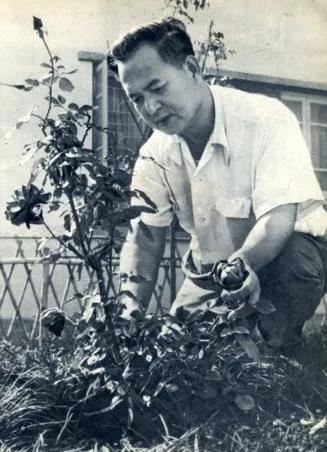 华侨新村，羊城闹市中的世外桃源