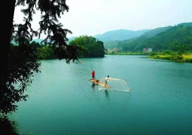 江西省有个莲花县,江西莲花县莲花镇