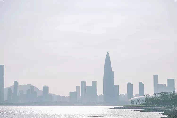 去深圳免费游玩的10个地方,深圳免费游玩景点推荐