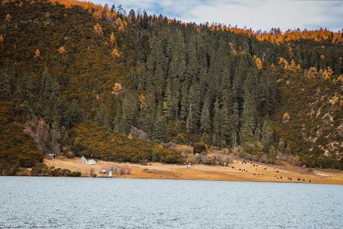 消失的地平线上的“香巴拉”和“女儿国”（二）