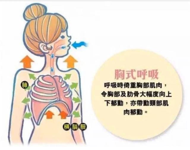 孕期喘不上气吸氧有用吗,孕期经常吃完饭后喘不上来气