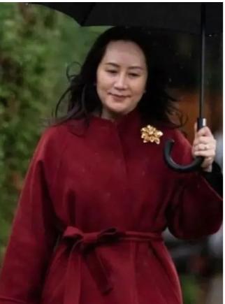 有价值的胸针,装饰胸针