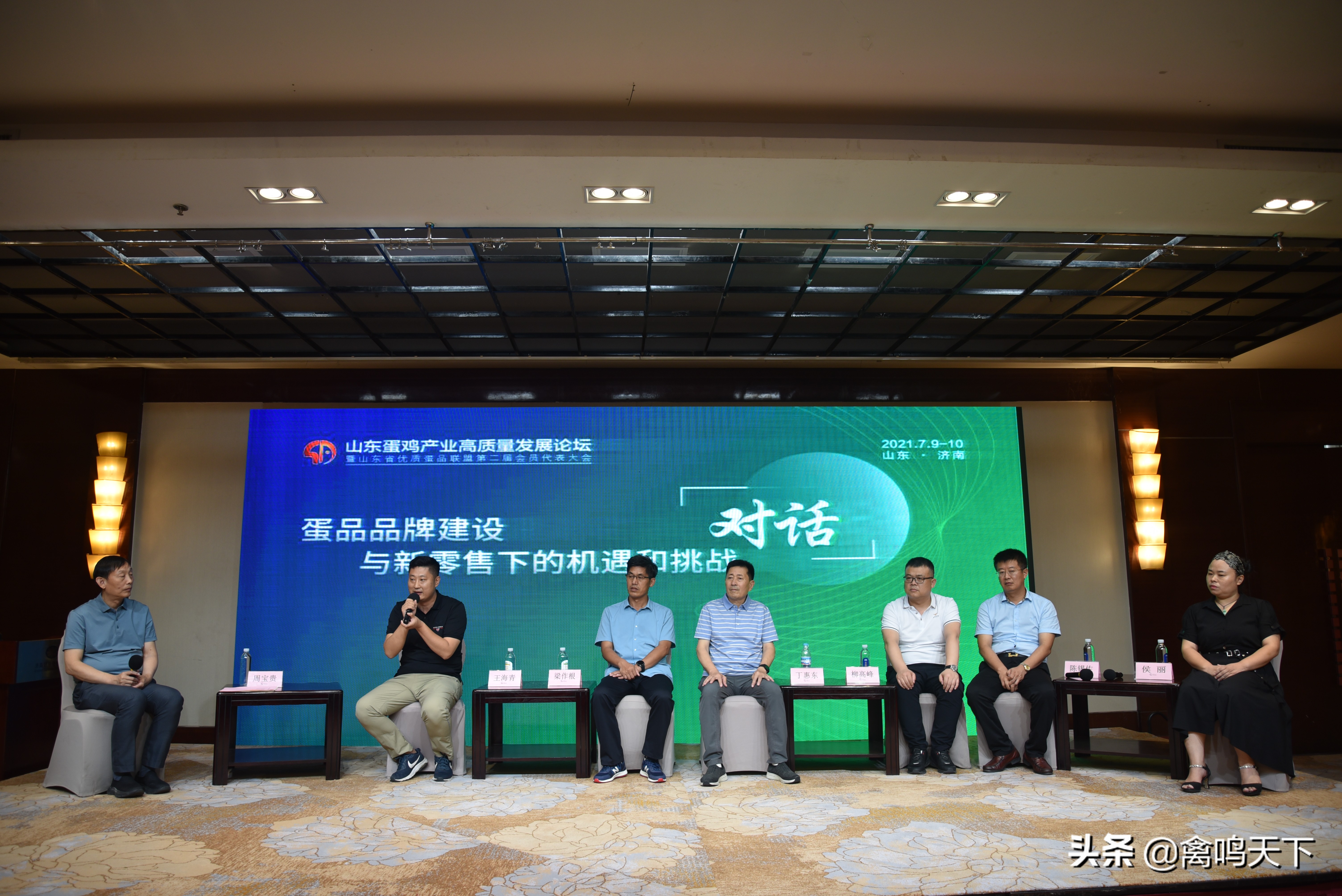 蛋品品牌运营,对话品牌蛋企