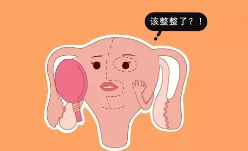 没有避孕怎么怀不上什么原因,促排成功还怀不上是什么原因